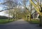 Plane-tree alley