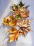 Plane trees & x28;Platan& x29; autumn leaves on white textile background