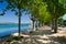 Plane trees on the waterfront of Lake o Banyoles,Spain