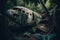 plane wreck amongst dense jungle foliage, with vines and creepers entwined around it