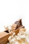 Planer with wooden chips, wood shavings
