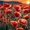 planes flying over a poppy field as the sun goes down Remembrance Day illustration