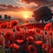 planes flying over a poppy field as the sun goes down Remembrance Day illustration