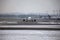 Planes at terminal gates in Munich Airport, winter time with snow