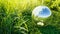 Planet Earth crystal ball on a green grass field Environmental protection, ecology and crystal ball of the world. Concept of