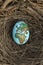 Planet Earth painted on an egg in a birds nest