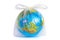 Planet Earth in polyethylene plastic disposable bag