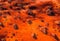 Planet Mars red surface