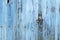 Plank old blue weathered gate