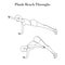 Plank reach throughs exercise outline