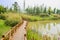 Planked footbridge along grassy and flowering lakeshore