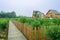 Planked footpath outsdie Eruopean-style cabins in fenced orchard