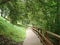 Planked footway through a shady city park