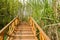 Planked stairway in verdant spring plants