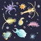 Plankton Diverse Water Organism Free Floating on Dark Background Vector Set