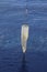 Plankton net on the blue water background. Science equipment for sampling of water organisms deployment.