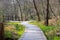 Plankway through forest around briese river near berlin