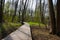 Plankway through forest around briese river near berlin