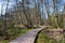 Plankway through forest near berlin