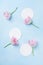Planning or invitation concept with fresh pink tulip flowers on blue pastel background. Top view. Flat lay.