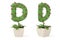 Plant alphabet D and flowerpot.3D illustration.