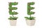 Plant alphabet E and flowerpot.3D illustration.