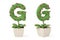 Plant alphabet G and flowerpot.3D illustration.