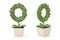 Plant alphabet O and flowerpot.3D illustration.