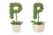 Plant alphabet P and flowerpot.3D illustration.