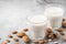 Plant based almond vegan milk in glasses with nuts on concrete background. Dairy free milk