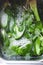 Plant-based food ingredients, mixed green leaves including celery and bok choy getting washined in kitchen sink