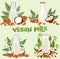 Plant based milk concept, Non dairy, plant based beverages in bottl glass, ideal for a wholesome diet. Organic lactose