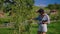 Plant breeder examining a pear tree