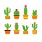 Plant cactus collection illustration vektor