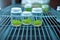 Plant callus tissue culture, biology science for plant regeneration