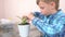 Plant care concept. Boy is planting houseplant and watering it.