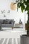 Plant on carpet in scandinavian living room interior with grey sofa and posters on white wall. Real photo