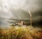 Plant and cloudy sky