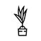 plant coconut coco line icon vector illustration