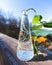 Plant cutting sprouting roots in vintage glass jar next to log cabin close up