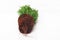 Plant cypress seedling with soil on white background. Earth Day April 22 concept