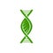 Plant DNA icon, leaf and green gene helix strand