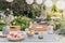 Plant and food on table in the garden with blurred hanging chair in the background