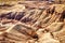 Plant Fossils in Badlands of Petrified Forest National Park, Arizona