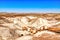 Plant Fossils in Badlands of Petrified Forest National Park, Arizona