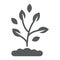 Plant glyph icon, farming and agriculture