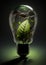 Plant growing inside a lightbulb. Green energy concept, planet preservation, rebewable energy. Generative AI