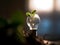 A plant growing from a lightbulb. AI Generated.
