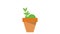 Plant growing in pot HD animation