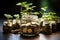 Plant Growing In Savings Coins in the glass jar